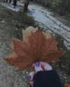 emily_new2 Altpins Profile Picture