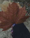 emily_new2 Altpins Profile Picture