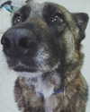 emily_new2 Altpins Profile Picture