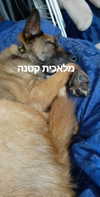 emily_new2 Altpins Profile Picture