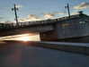 emily_new2 Altpins Profile Picture