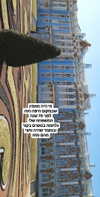 emily_new2 Altpins Profile Picture