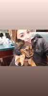 emily_new2 Altpins Profile Picture