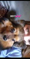 emily_new2 Altpins Profile Picture