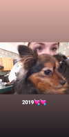 emily_new2 Altpins Profile Picture