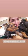 emily_new2 Altpins Profile Picture