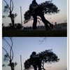 emily_new2 Altpins Profile Picture