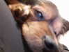 emily_new2 Altpins Profile Picture