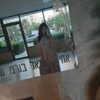 emily_new2 Altpins Profile Picture