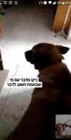 emily_new2 Altpins Profile Picture