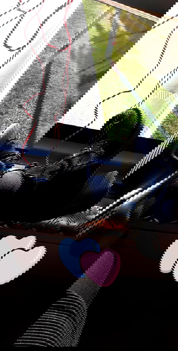 emily_new2 emily_new2 archive image