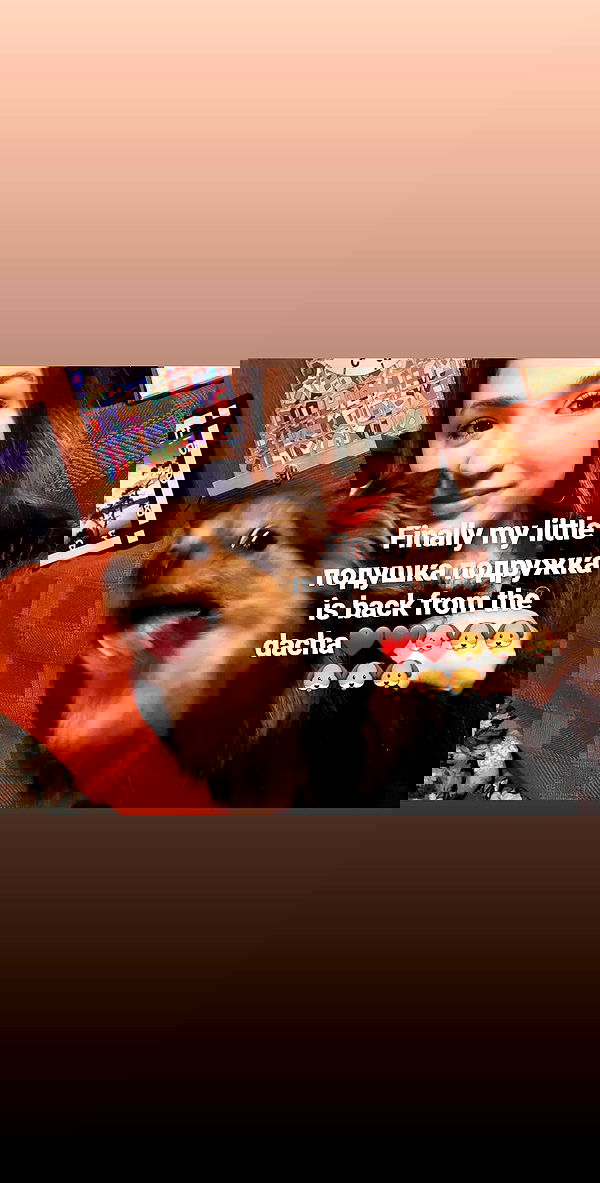 emily_new2 emily_new2 archive image