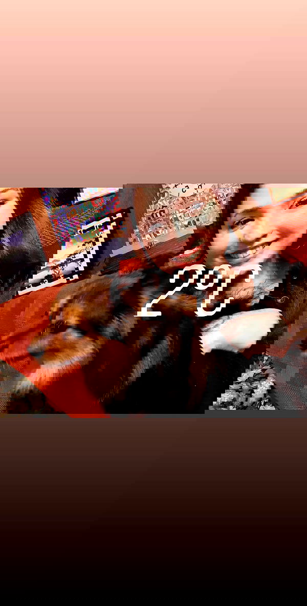 emily_new2 emily_new2 archive image