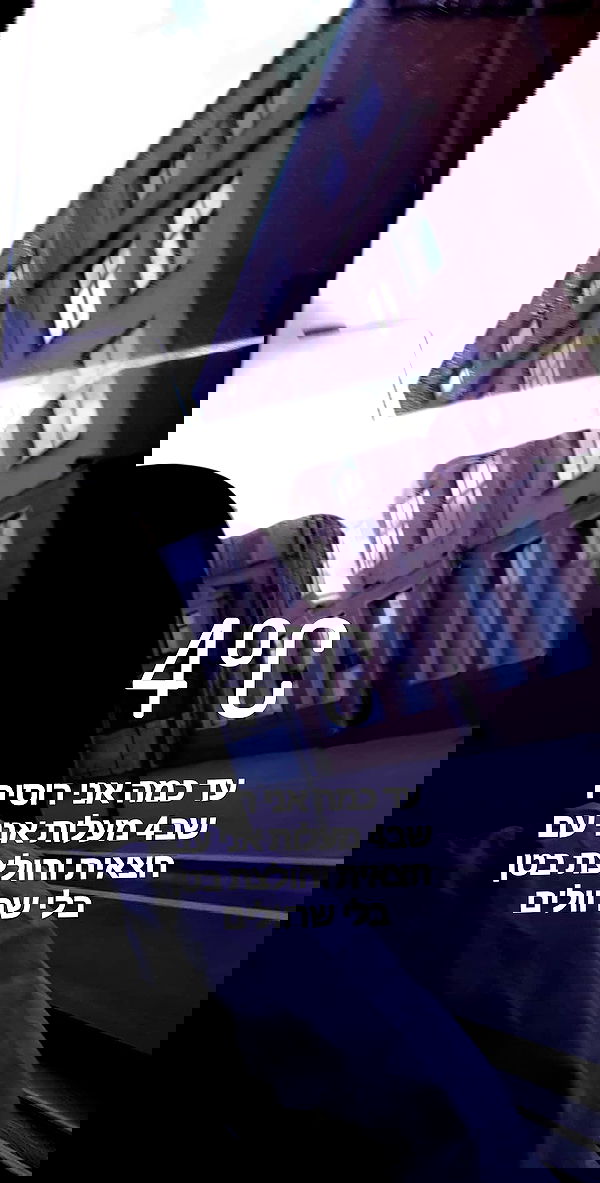 emily_new2 emily_new2 archive image