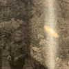 emily_new2 Altpins Profile Picture