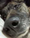emily_new2 Altpins Profile Picture
