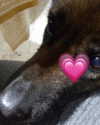 emily_new2 Altpins Profile Picture