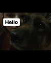 emily_new2 Altpins Profile Picture