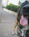 emily_new2 Altpins Profile Picture