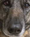 emily_new2 Altpins Profile Picture