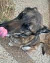emily_new2 Altpins Profile Picture