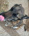 emily_new2 Altpins Profile Picture