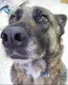 emily_new2 Altpins Profile Picture