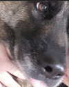 emily_new2 Altpins Profile Picture