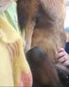 emily_new2 Altpins Profile Picture