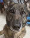 emily_new2 Altpins Profile Picture