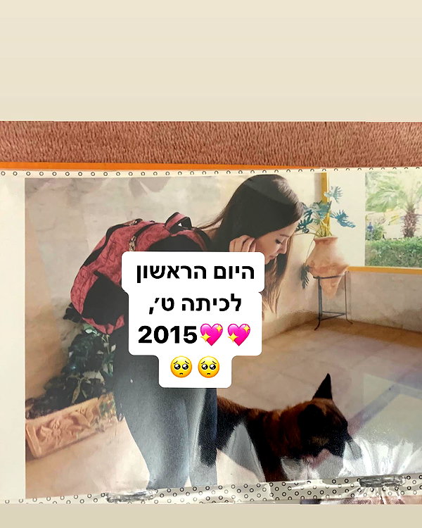 emily_new2 instagram image archive image