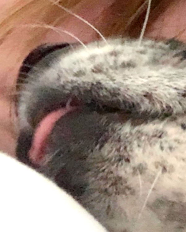 emily_new2 instagram image archive image