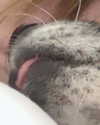 emily_new2 Altpins Profile Picture