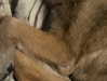 emily_new2 Altpins Profile Picture