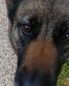 emily_new2 Altpins Profile Picture