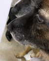 emily_new2 Altpins Profile Picture