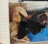emily_new2 Altpins Profile Picture