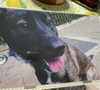 emily_new2 Altpins Profile Picture