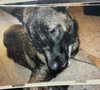 emily_new2 Altpins Profile Picture