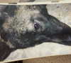 emily_new2 Altpins Profile Picture