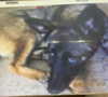 emily_new2 Altpins Profile Picture