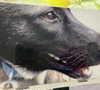 emily_new2 Altpins Profile Picture