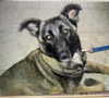 emily_new2 Altpins Profile Picture