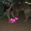 emily_new2 Altpins Profile Picture