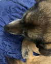 emily_new2 Altpins Profile Picture