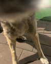emily_new2 Altpins Profile Picture