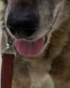 emily_new2 Altpins Profile Picture