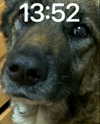 emily_new2 Altpins Profile Picture