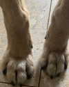 emily_new2 Altpins Profile Picture