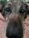 emily_new2 Altpins Profile Picture